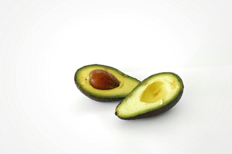 avocado oil lubricant safety