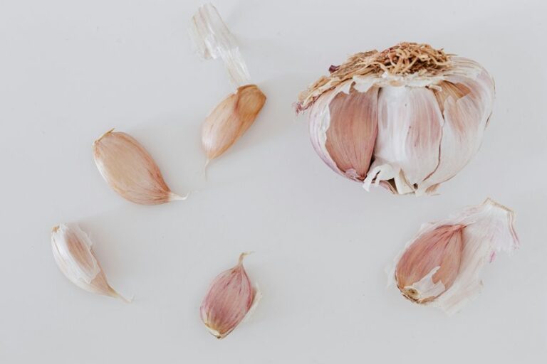 dried garlic equals fresh clove