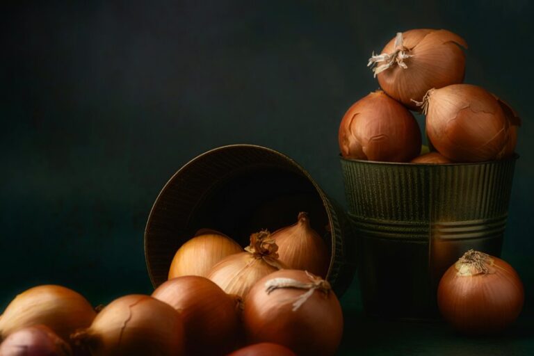shelf life of dried onion