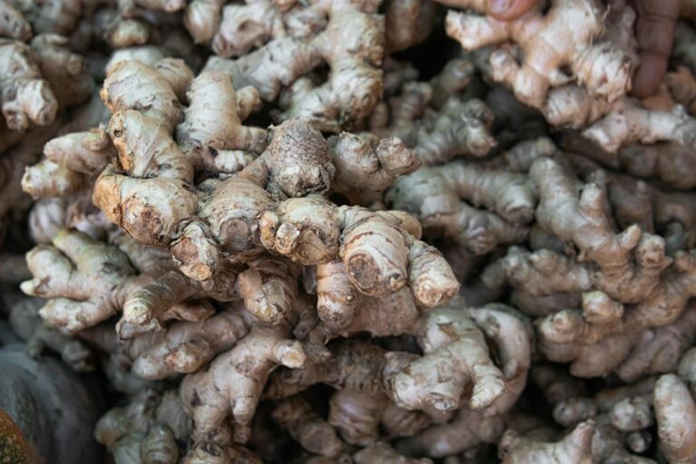 small piece of ginger